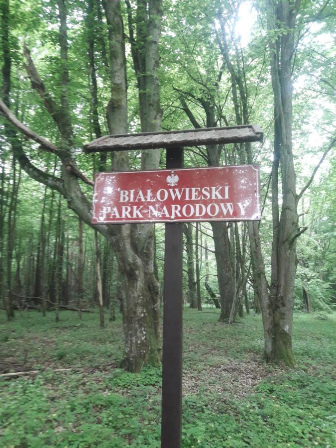 In Nature Беловеж Экстерьер фото