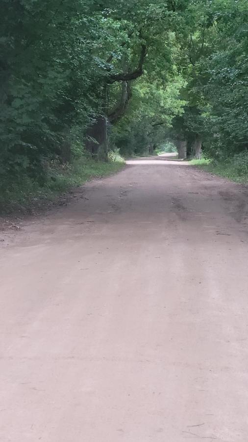 In Nature Беловеж Экстерьер фото
